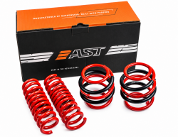 AST Suspension 17-23 Civic Type R Lowering Springs